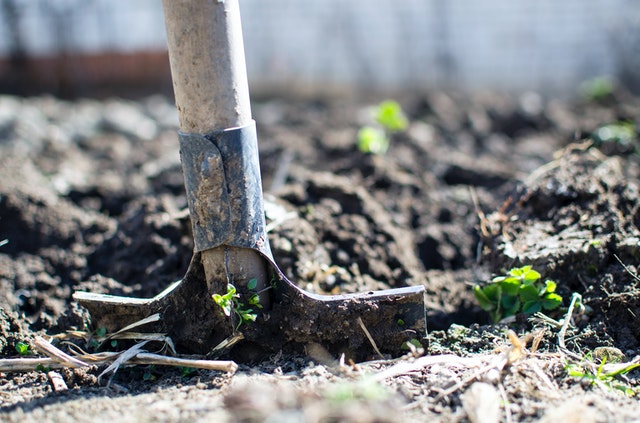 Land Preparation