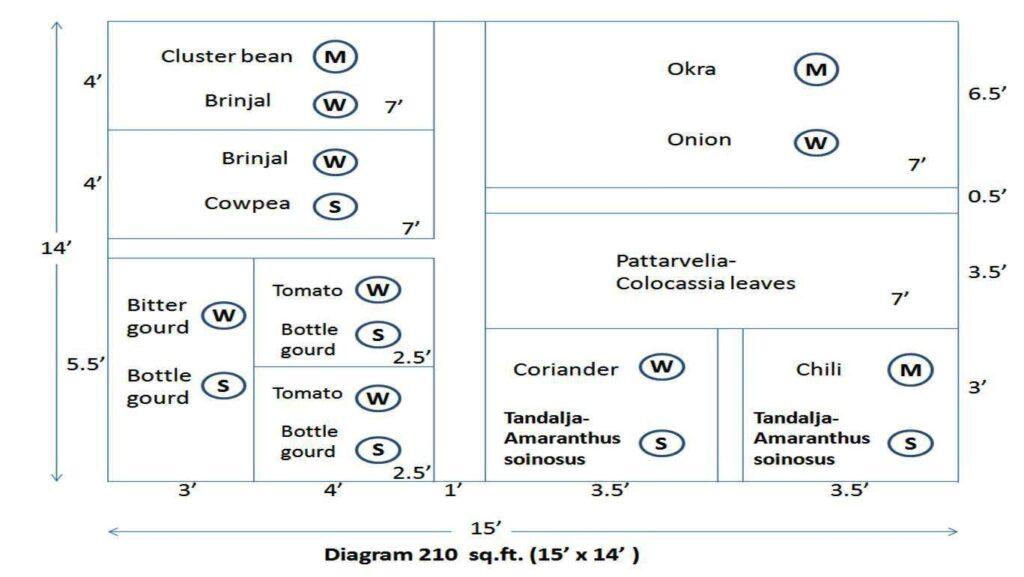 Kitchen garden measurement diagram