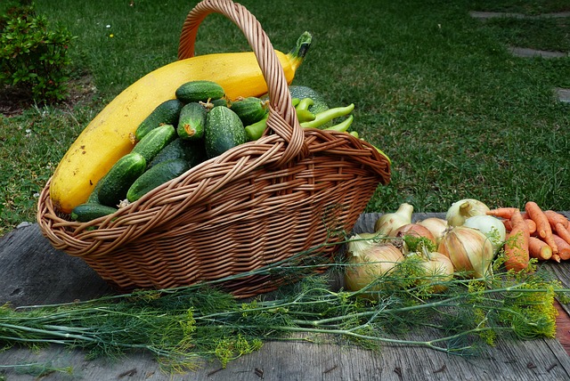 Kitchen Garden