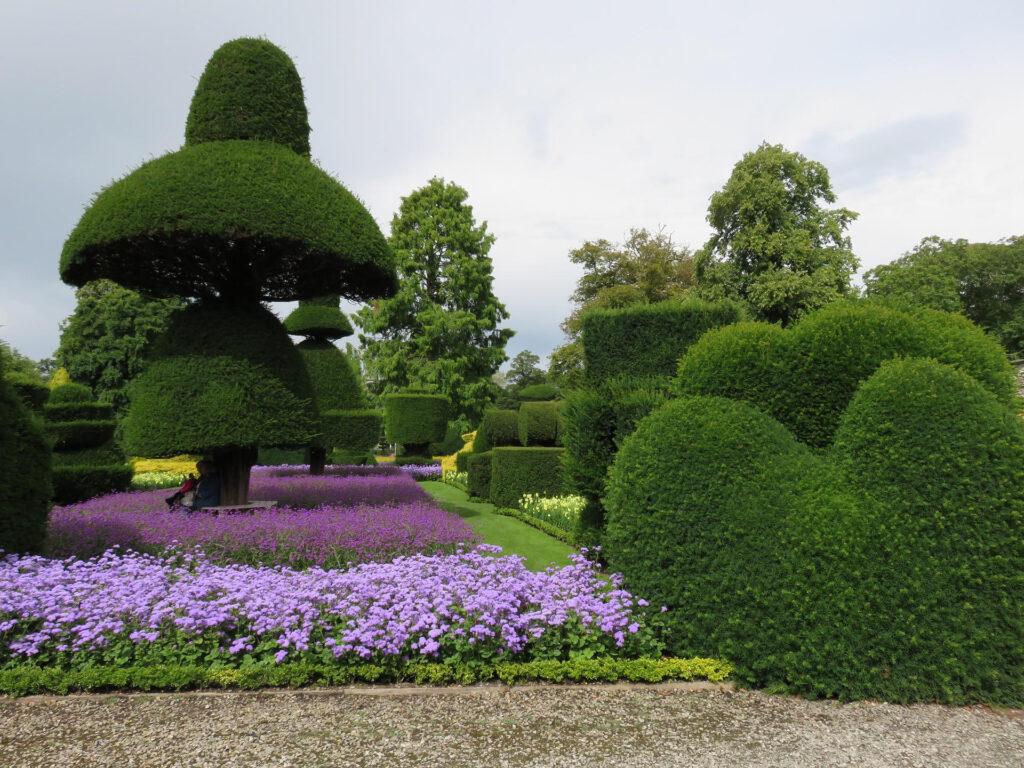 Topiary for beginners