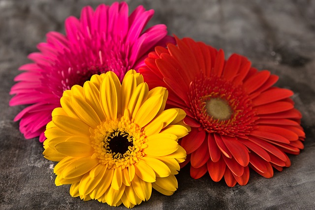 Ayodhya ram mandir flower decoration