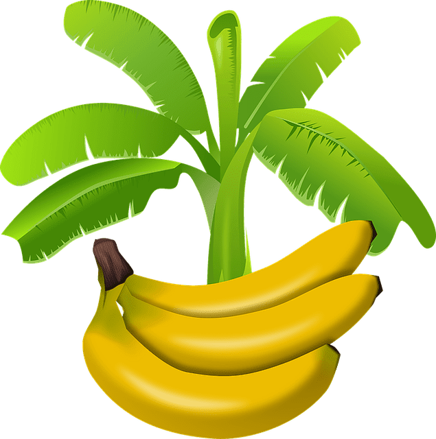 which tree goddess laxmi like